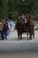 /album/jizdy-svatebnim-kocarem/a700-img-4217-jpg/